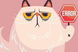 Казино Водка не работает: решение возможных проблем